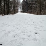 Snowy Run at Rodale