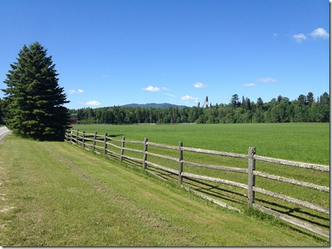 Horse Farm and Ski Jumps on River Rd.