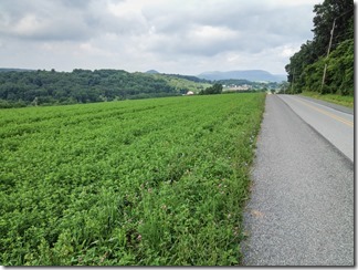 Red Road with Hawk Mountain in the distance