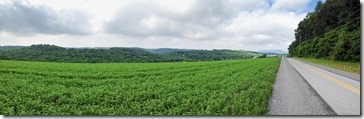 Red Road Pano with Hawk Mountain in the distance