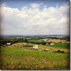 Holbens Valley View