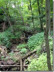 Small waterfalls off of D&L Trail