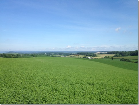 View of Holbens Valley from Werleys Corners