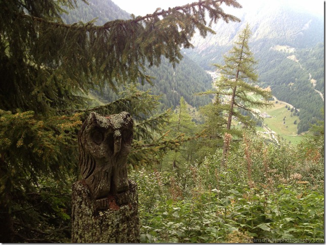 Carved Owl above Trient