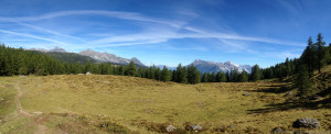 Meadow Panorama of the Surrounding Mountains