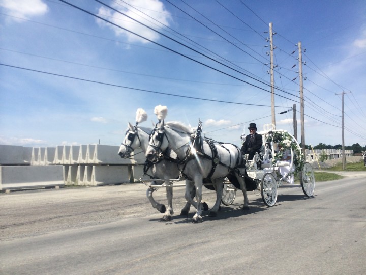 Wedding Carriage