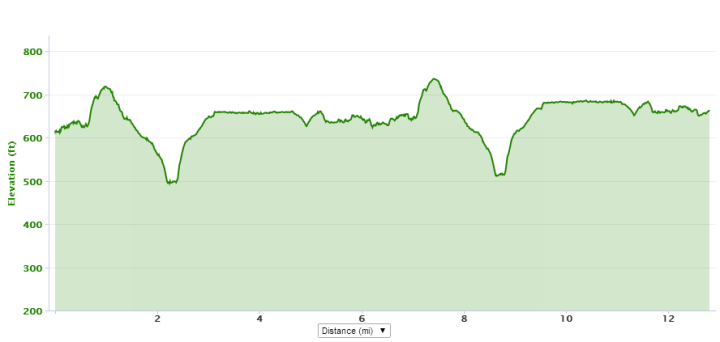 Black Bear Half Run Elevation Profile