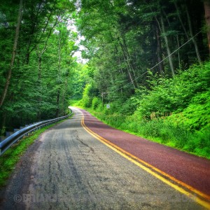 The Long and Winding Road-Ledgedale Road, Greentown, PA