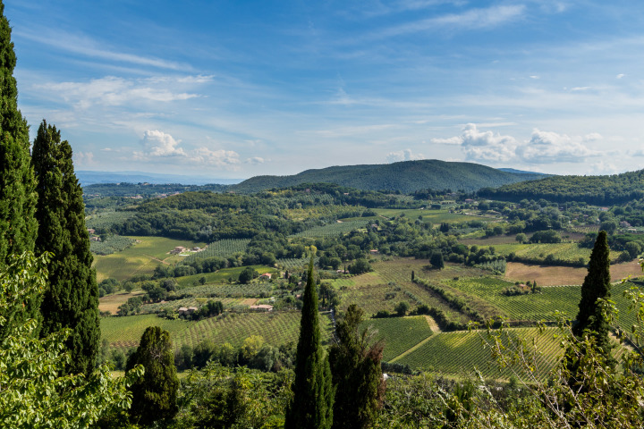 Culture, Europe, Florence, Italy, Travel, Tuscany