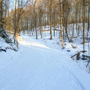 Adirondacks, America, Dax, Lake Placid, New York, North America, North Elba, North Essex County, Snow, USA, United States, Winter, meteorology