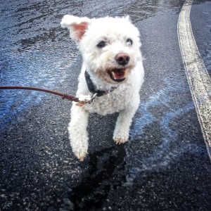 Yuki at Rodale Fitness Park