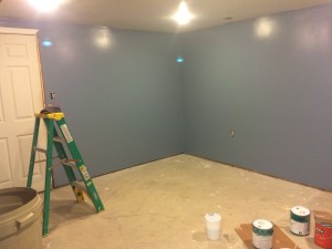 Pain Cave Remodel - Painted 2