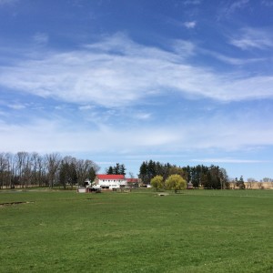 Farm near Fleetwood