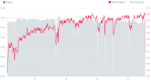 NJ Devilman 2015 Run Pace vs HR